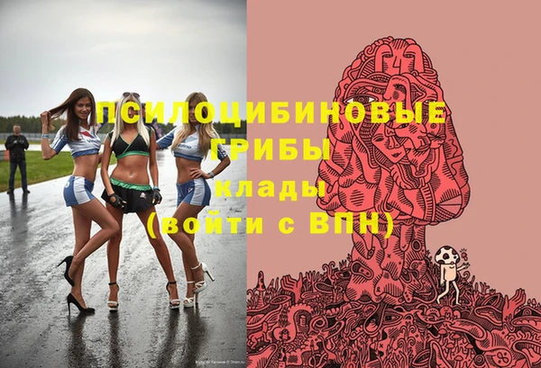 спиды Верея